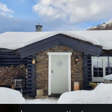 Ringstadsaetra Pa Sitt Aller Holiday home *